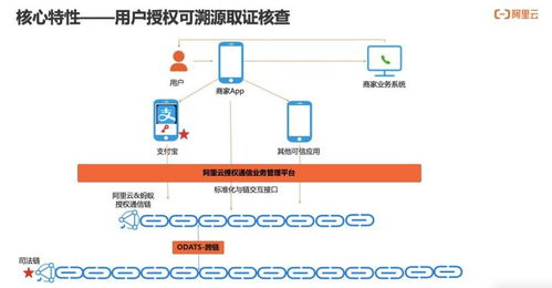 如何實(shí)現(xiàn)用戶通信授權(quán)的可信 可知 可追溯 通信授權(quán)服務(wù)技術(shù)解讀
